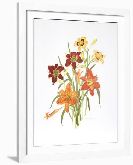 Day Lilies-Marion Sheehan-Framed Collectable Print