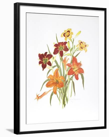 Day Lilies-Marion Sheehan-Framed Collectable Print