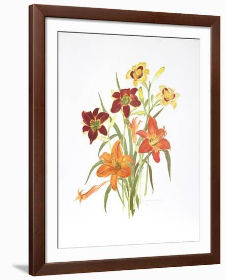 Day Lilies-Marion Sheehan-Framed Collectable Print