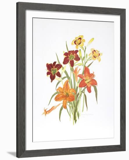 Day Lilies-Marion Sheehan-Framed Collectable Print