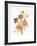 Day Lilies-Marion Sheehan-Framed Collectable Print