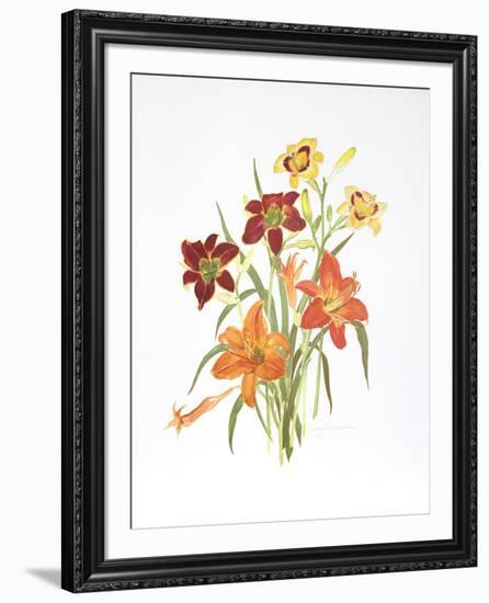 Day Lilies-Marion Sheehan-Framed Collectable Print