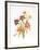 Day Lilies-Marion Sheehan-Framed Collectable Print