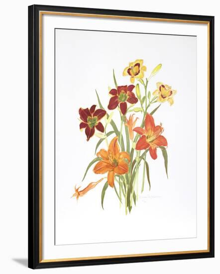 Day Lilies-Marion Sheehan-Framed Collectable Print