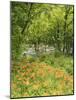 Day Lily Flowers Growing Along Little Pigeon River, Great Smoky Mountains National Park, Tennessee-Adam Jones-Mounted Photographic Print