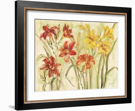 Day Lily Garden-Cheri Blum-Framed Art Print