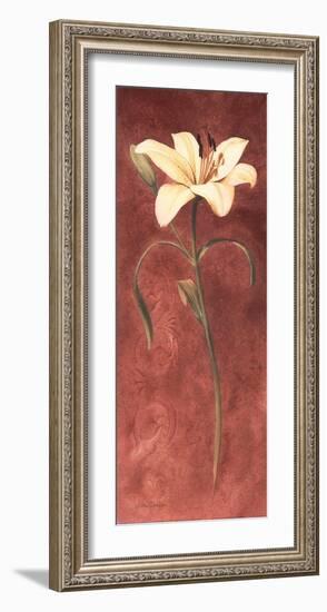 Day Lily-John Clayton-Framed Art Print