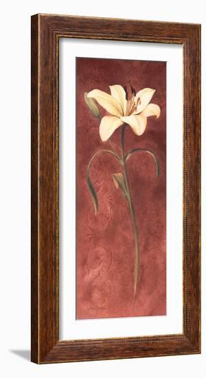 Day Lily-John Clayton-Framed Art Print