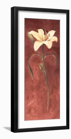 Day Lily-John Clayton-Framed Art Print