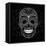 Day Of The Dead Black And White Skull-Alisa Foytik-Framed Stretched Canvas