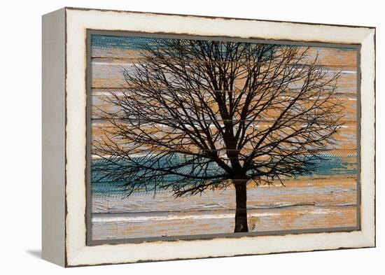 Day Tree-Diane Stimson-Framed Stretched Canvas