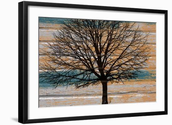 Day Tree-Diane Stimson-Framed Art Print