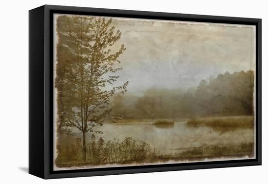 Daybreak II-Madeline Clark-Framed Stretched Canvas