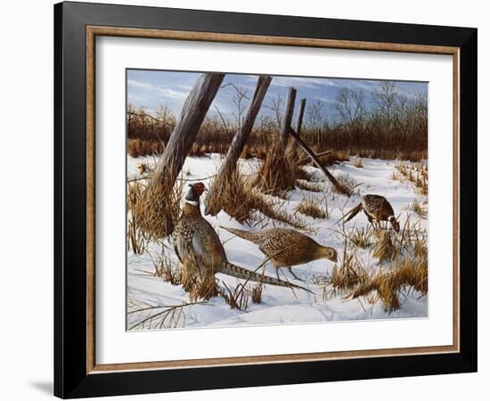 Daybreak-Kevin Daniel-Framed Art Print