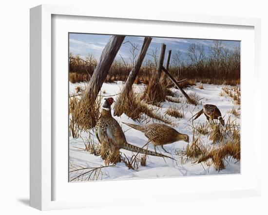 Daybreak-Kevin Daniel-Framed Art Print