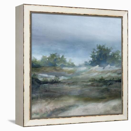 Daybreak-Carol Robinson-Framed Stretched Canvas