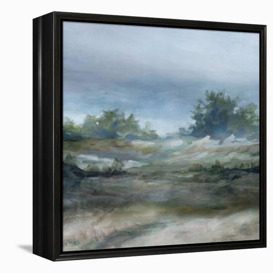 Daybreak-Carol Robinson-Framed Stretched Canvas
