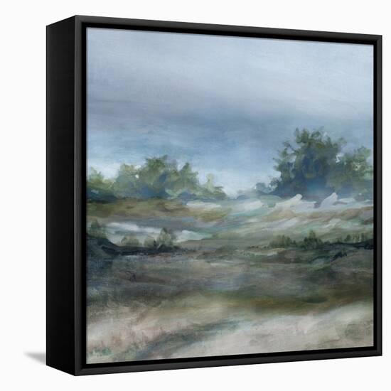 Daybreak-Carol Robinson-Framed Stretched Canvas