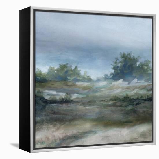 Daybreak-Carol Robinson-Framed Stretched Canvas