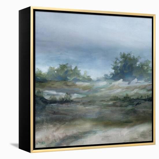 Daybreak-Carol Robinson-Framed Stretched Canvas