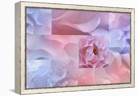 Daydream I-Cora Niele-Framed Premier Image Canvas