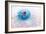 Daydream-Jacky Parker-Framed Giclee Print