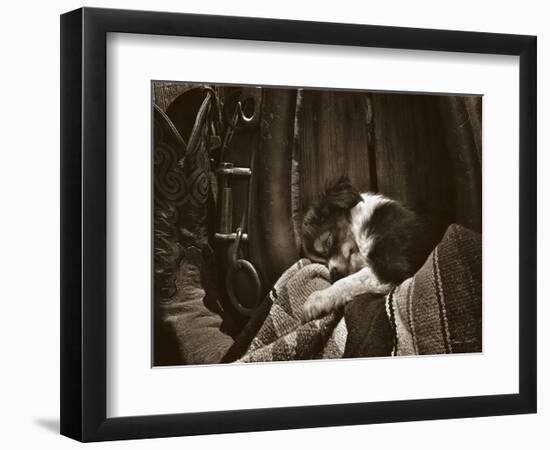 Daydreamer-Barry Hart-Framed Art Print