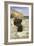 Daydreaming-Sir Lawrence Alma-Tadema-Framed Giclee Print