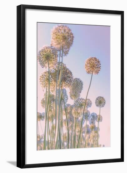 Daydreams-Nancy Crowell-Framed Art Print