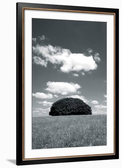 Daylight Array-Jake Eastham-Framed Giclee Print