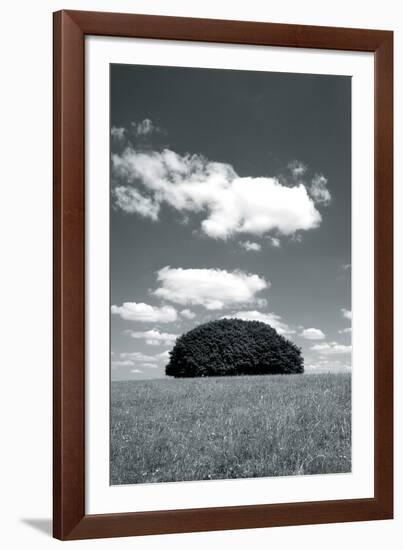 Daylight Array-Jake Eastham-Framed Giclee Print