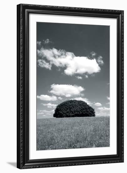 Daylight Array-Jake Eastham-Framed Giclee Print