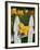 Daylilies By Picket Fence, Stockbridge, Berkshires, Massachusetts, USA-Lisa S^ Engelbrecht-Framed Photographic Print