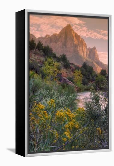 Days End from the Pa' Rus Trail, Zion-Vincent James-Framed Premier Image Canvas