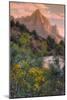Days End from the Pa' Rus Trail, Zion-Vincent James-Mounted Photographic Print