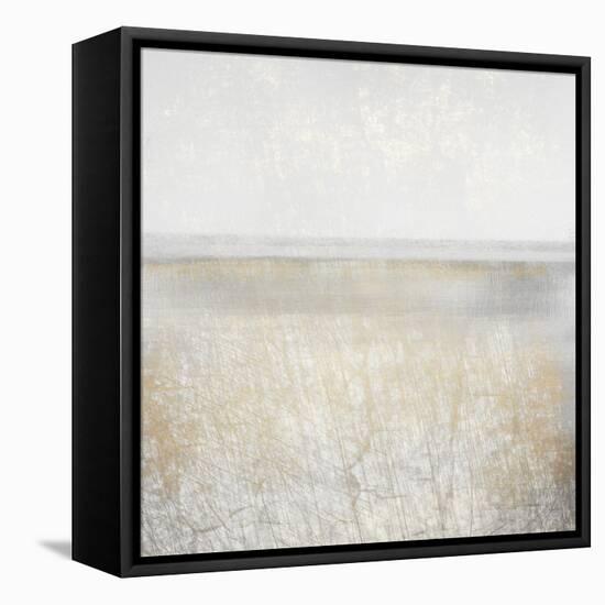 Days of Gold-Kimberly Allen-Framed Stretched Canvas