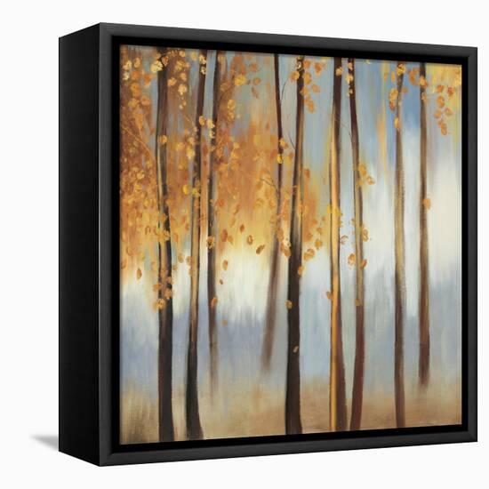 Days of Gold-Sloane Addison  -Framed Stretched Canvas