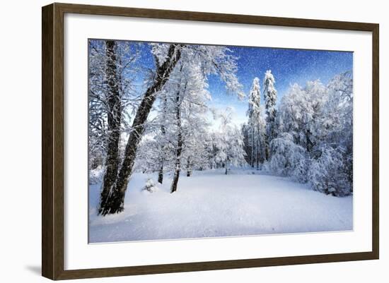 Days to Come-Philippe Sainte-Laudy-Framed Photographic Print