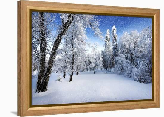 Days to Come-Philippe Sainte-Laudy-Framed Premier Image Canvas