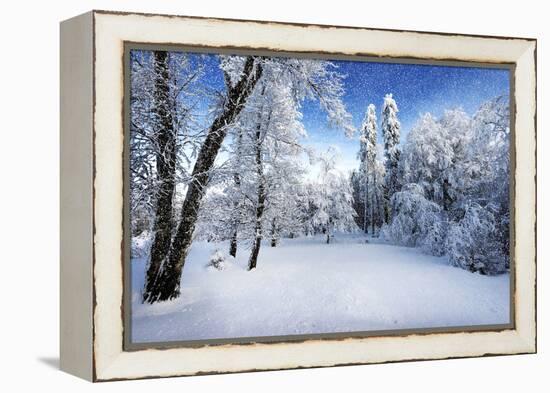 Days to Come-Philippe Sainte-Laudy-Framed Premier Image Canvas