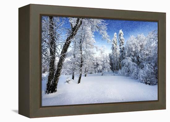 Days to Come-Philippe Sainte-Laudy-Framed Premier Image Canvas