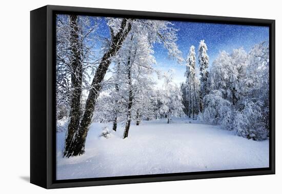 Days to Come-Philippe Sainte-Laudy-Framed Premier Image Canvas