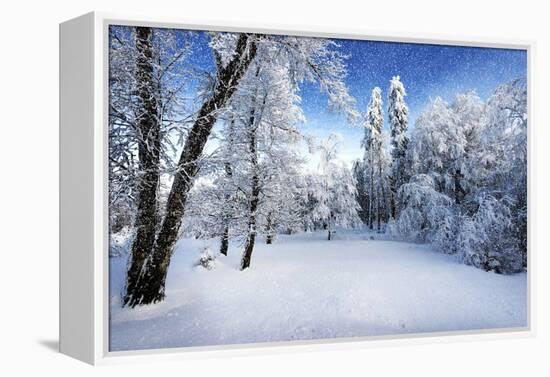 Days to Come-Philippe Sainte-Laudy-Framed Premier Image Canvas