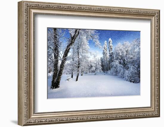 Days to Come-Philippe Sainte-Laudy-Framed Photographic Print