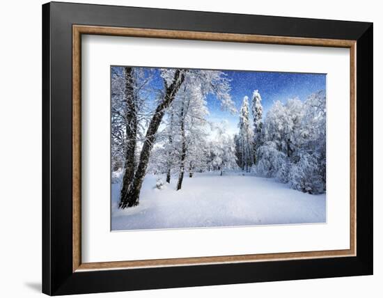 Days to Come-Philippe Sainte-Laudy-Framed Photographic Print