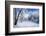 Days to Come-Philippe Sainte-Laudy-Framed Photographic Print