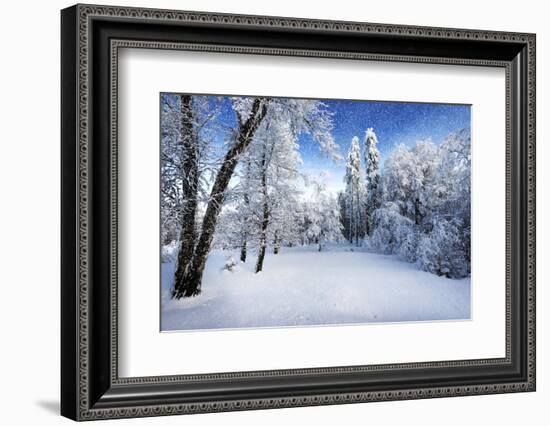 Days to Come-Philippe Sainte-Laudy-Framed Photographic Print