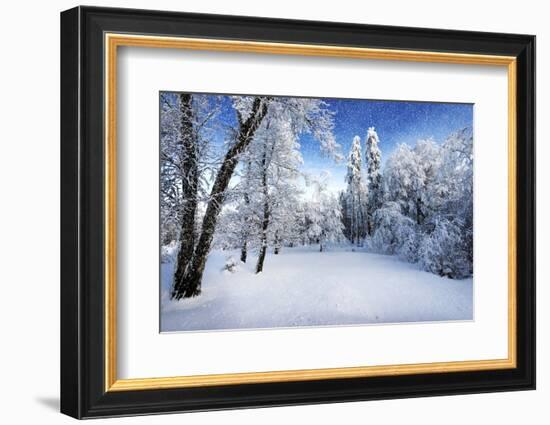 Days to Come-Philippe Sainte-Laudy-Framed Photographic Print