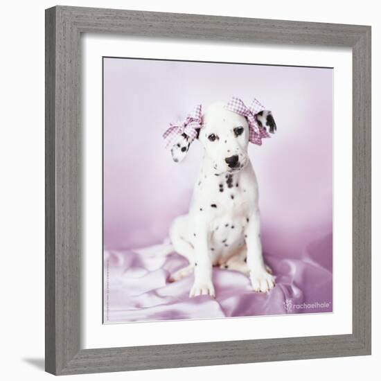 Daysha-Rachael Hale-Framed Photographic Print