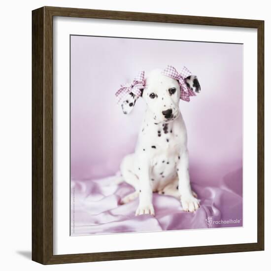 Daysha-Rachael Hale-Framed Photographic Print